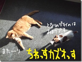 週カズ１００２０７　１