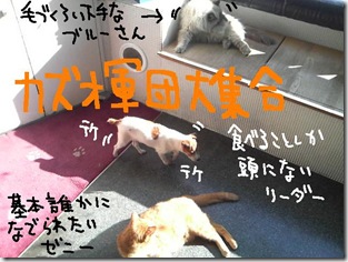 週カズ１００２０７　２