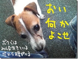 週カズ１００２０７　３