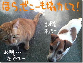週カズ１００２０７　４