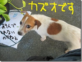 週カズ１００２２８　３