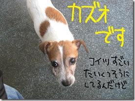 週カズ１００２２８　４