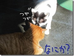 週カズ１００２２８　５