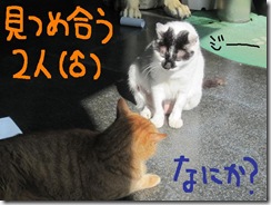 週カズ１００２２８　６