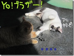 週カズ１００２２８　７