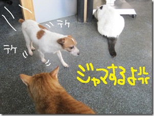 週カズ１００２２８　９