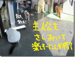 週カズ１００２２８　１０