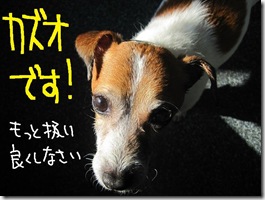 週カズ１００２２８　１１