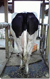 2010030310080000