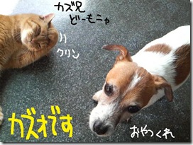 週カズ１００３０７　１