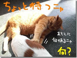 週カズ１００３０７　２
