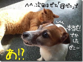 週カズ１００３０７　３