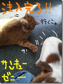 週カズ１００３０７　５