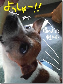 週カズ１００３０７　６