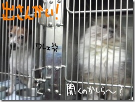 週カズ１００３２５　１