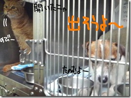 週カズ１００３２５　２