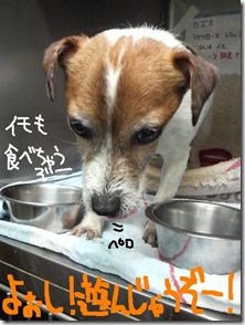 週カズ１００３２５　４