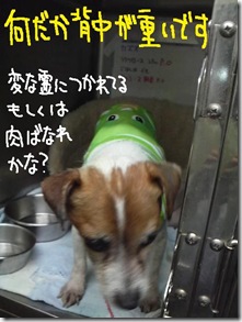 週カズ１００３２８　２