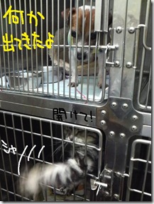 週カズ１００３２８　４