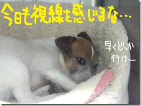週カズ１００４０８　１