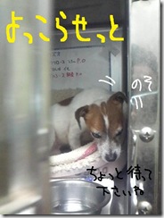 週カズ１００４０８　４