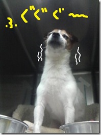 週カズ１００４０８　７