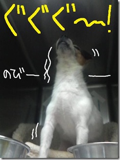 週カズ１００４０８　８