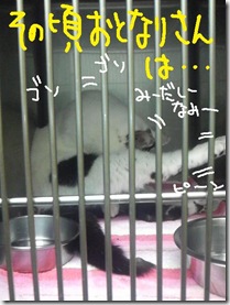 週カズ１００４０８　９