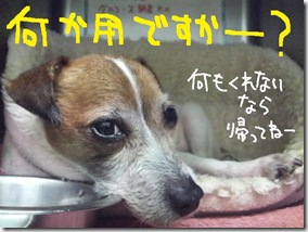 週カズ１００４１５　１