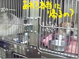 週カズ１００４１５　２