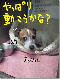 201004141554000