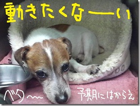 週カズ１００４１５　５