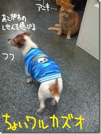 週カズ１００４２３　１
