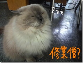 週カズ１００４２３　２