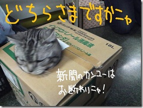 週カズ１００４２３　３