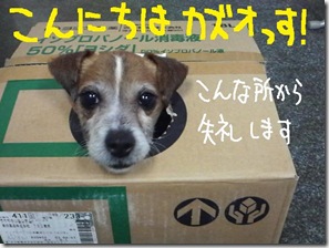 週カズ１００４２５　１