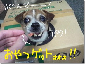 週カズ１００４２５　２