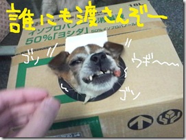 週カズ１００４２５　３