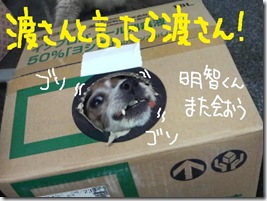 週カズ１００４２５　４
