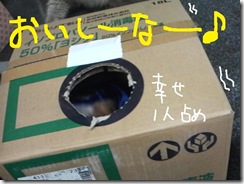 週カズ１００４２５　５