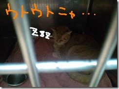 週カズ１００５０６　２