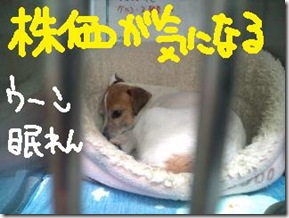 週カズ１００５０６　４