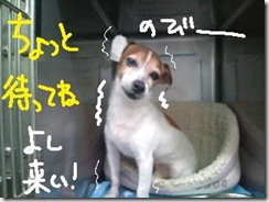 週カズ１００５０６　６