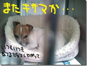 週カズ１００５２０　１