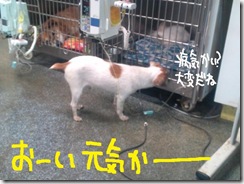 週カズ１００６０３　１