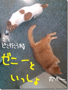 週カズ１００６０３　２