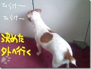 週カズ１００６０３　３