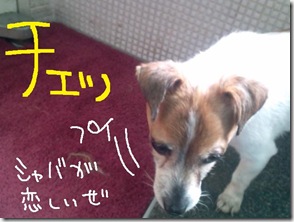 週カズ１００６０３　４