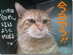 今日セラ１００８０１　１
