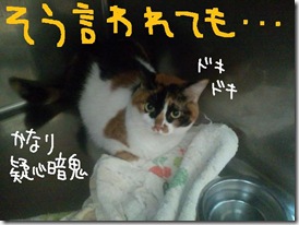 今日セラ１００８０１　３
